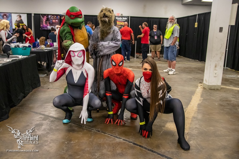 Dallas Comic Show Aug 2019