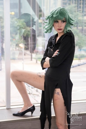 AnimeFest 2017