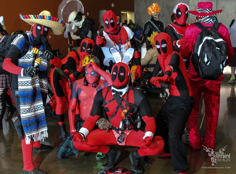 Dallas Fan Days