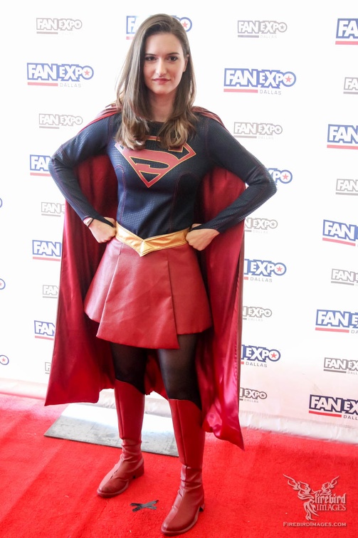Dallas Fan Days