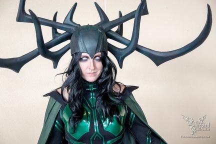 Dallas Fan Days 2017