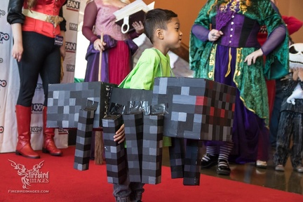 Dallas Fan Days 2017