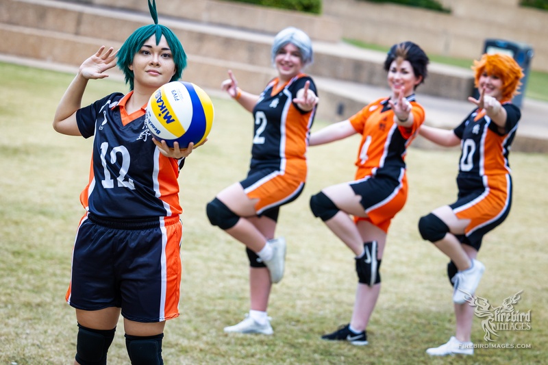 Anime Frontier - Haikyuu-1.jpg