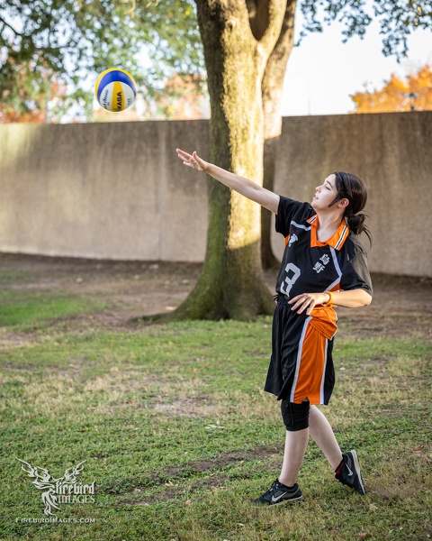 Anime Frontier - Haikyuu-9.jpg