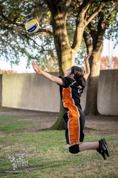 Anime Frontier - Haikyuu-10.jpg