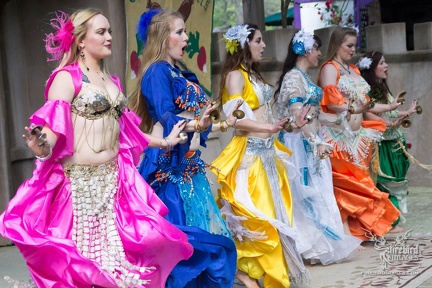 Scarborough Faire 2017-111