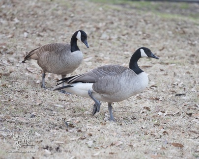Charisa's Spooky Birthday