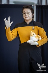 Countdown to Fan Expo 2025