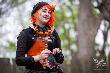 Scarborough Renaissance Festival 2025
