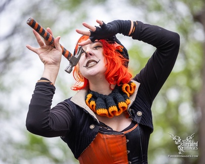 Scarborough Renaissance Festival 2025