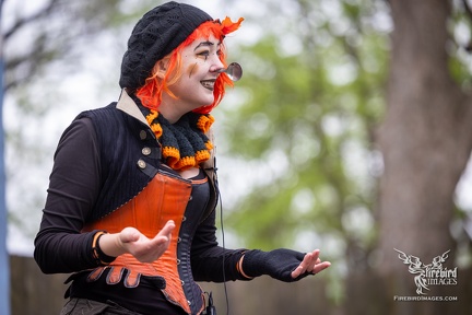 Scarborough Renaissance Festival 2025