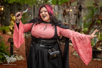 Scarborough Renaissance Festival 2025