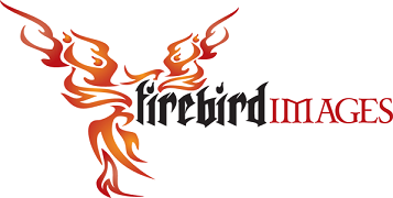 Firebird Images